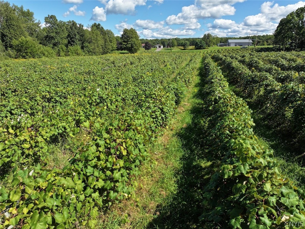 Bennett State Road Forestville, NY 14062 - Photo 9 of 18 Gallery Image 9