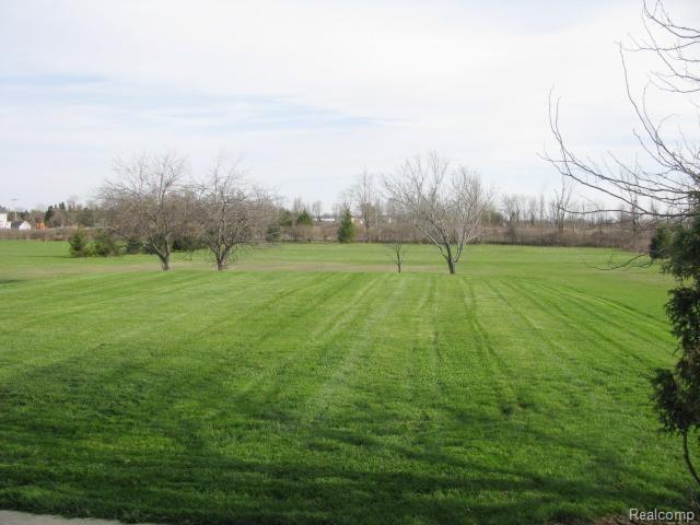 15233 Schultz Road Allenton, MI 48002 - Photo 35 of 39 #33 Yard.jpg