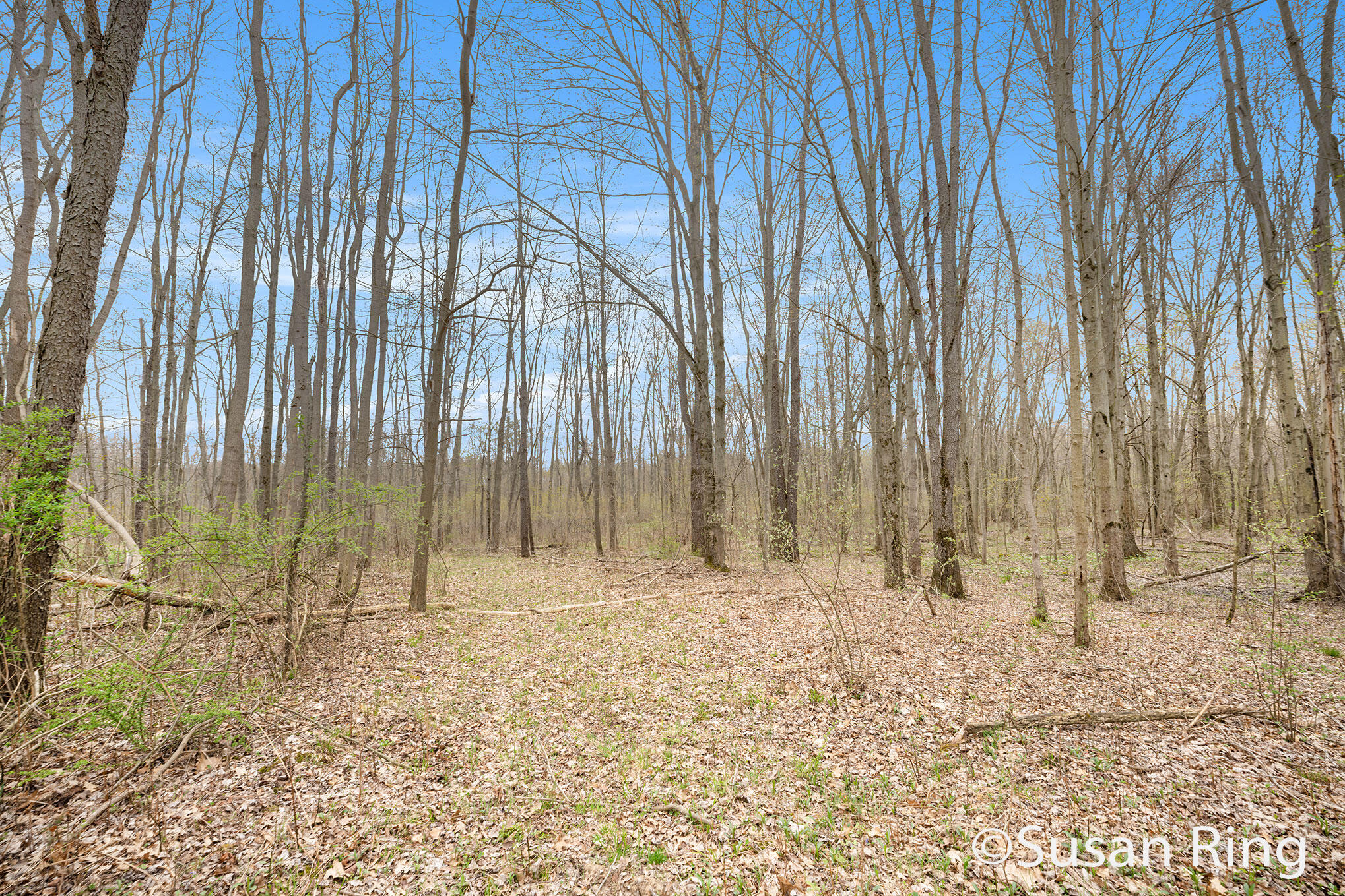 V/l Watts Road Allegan, MI 49010 - Photo 8 of 11 DSC09755