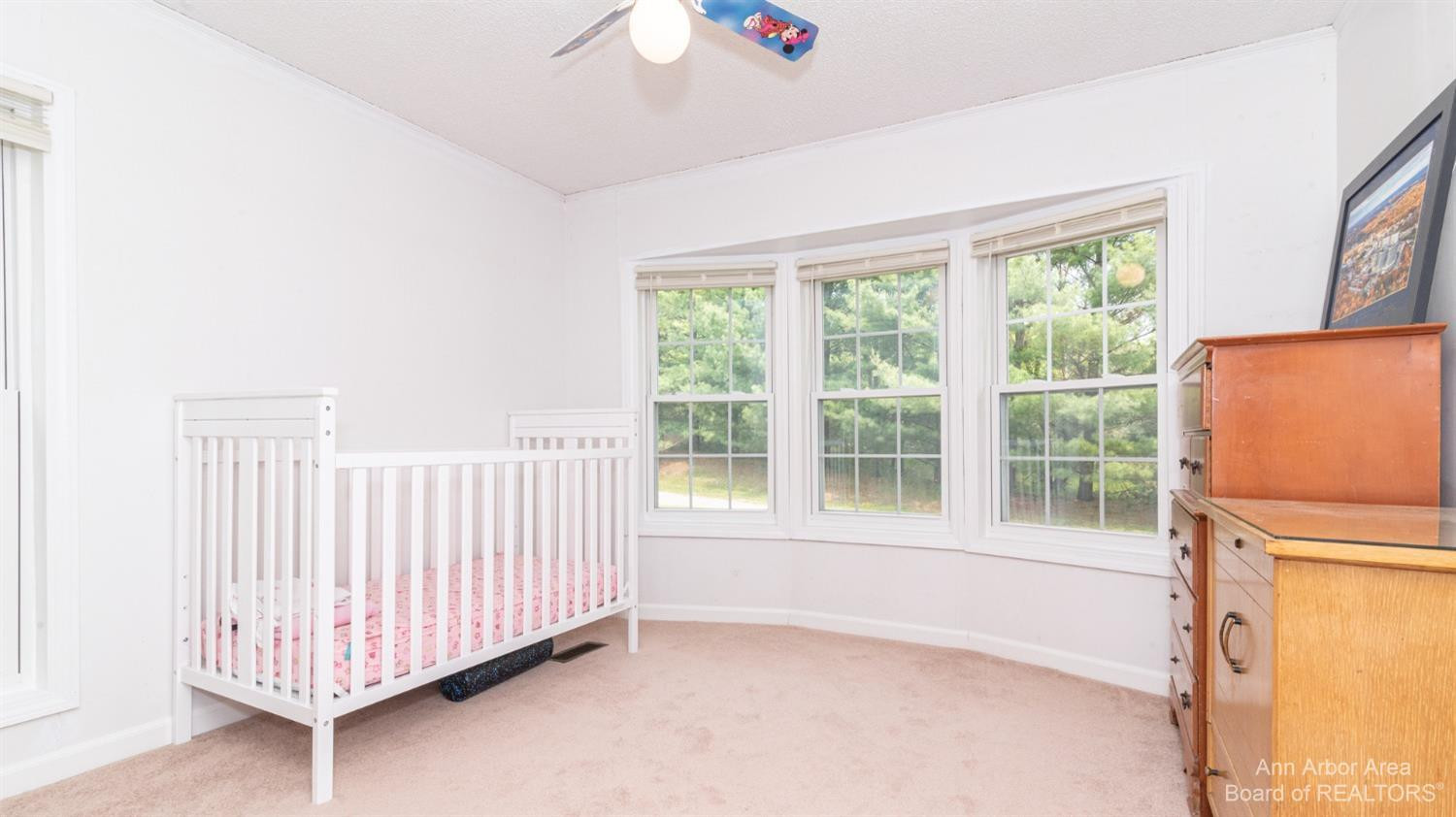 12841 Schleweis Road Manchester, MI 48158 - Photo 61 of 89 Photo 61