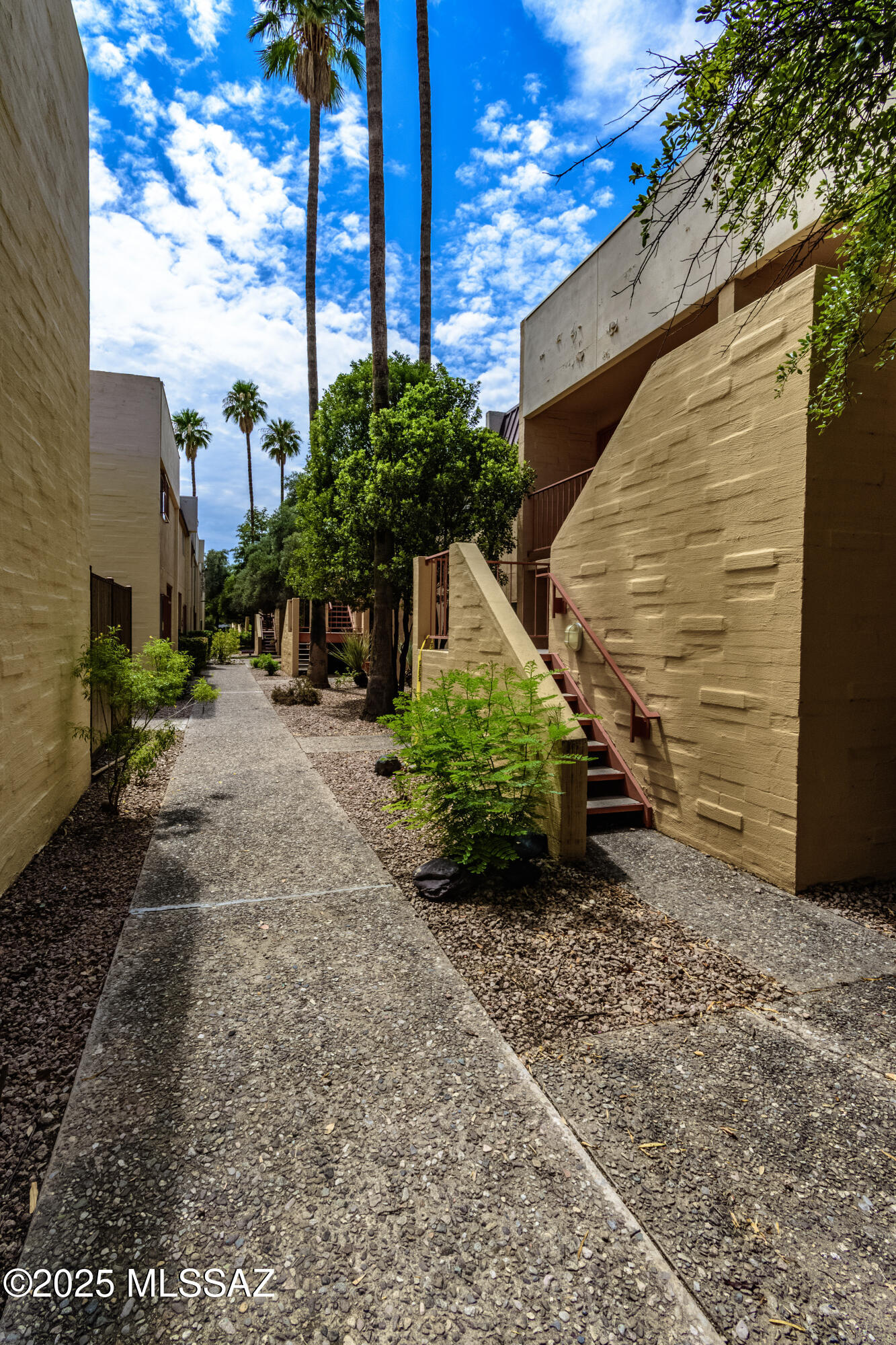 1341 East Fort Lowell Road, Unit 52B Tucson, AZ 85719 - Photo 16 of 22 Gallery Image 16