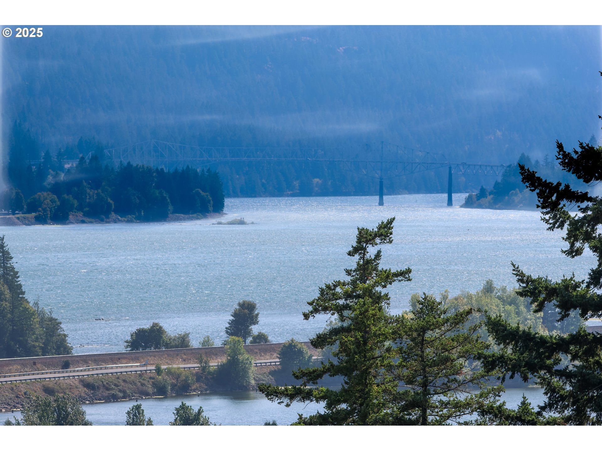 472 Northwest Hot Springs Alameda Road Stevenson, WA 98648 - Photo 15 of 28 a view of a yard