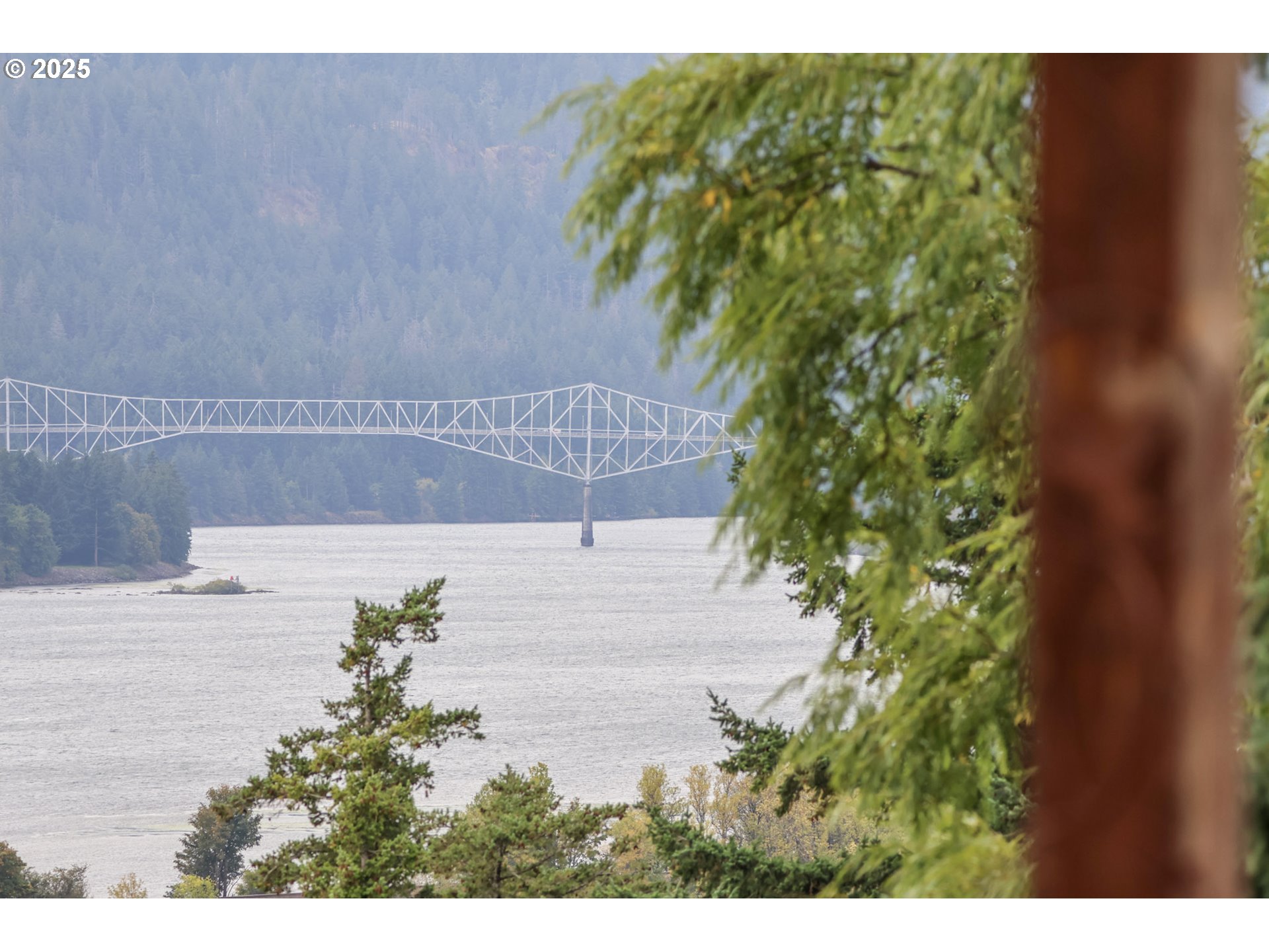 472 Northwest Hot Springs Alameda Road Stevenson, WA 98648 - Photo 17 of 28 a view of a yard