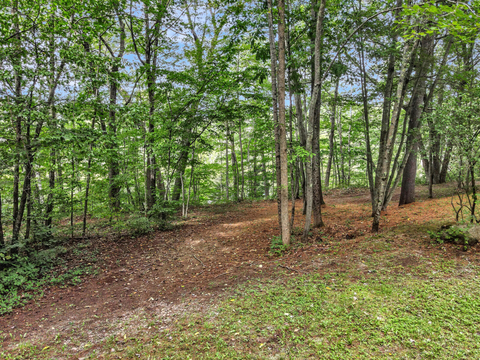 68 Unity Road Benton, ME 04901 - Photo 13 of 43 13_DJI_0696_DxO_mls