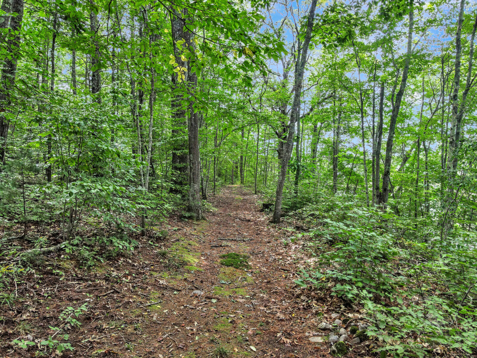 68 Unity Road Benton, ME 04901 - Photo 14 of 43 14_DJI_0700_DxO_mls