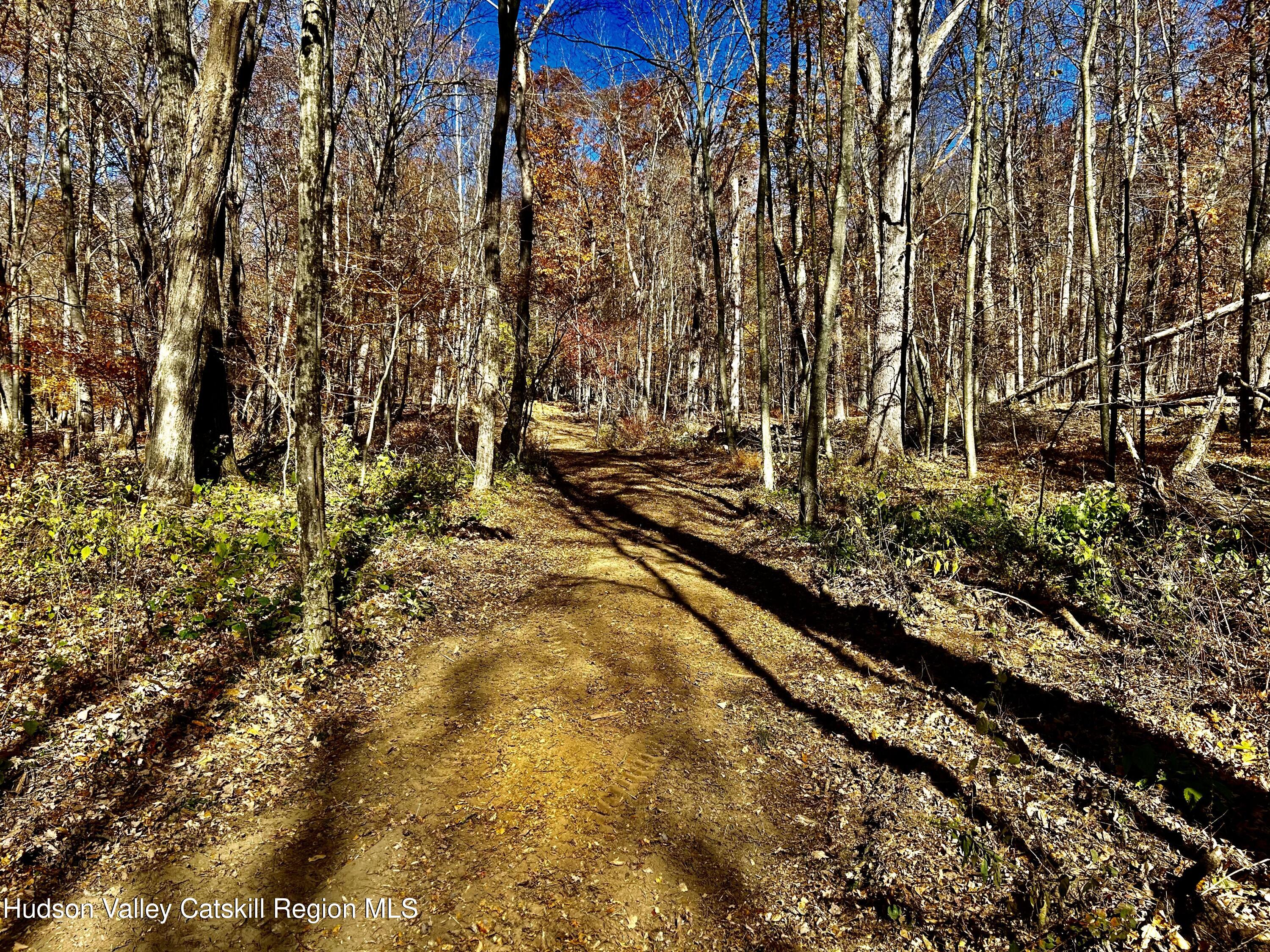 0 Westfall Road Ancram, NY 12502 - Photo 1 of 17 IMG_9176