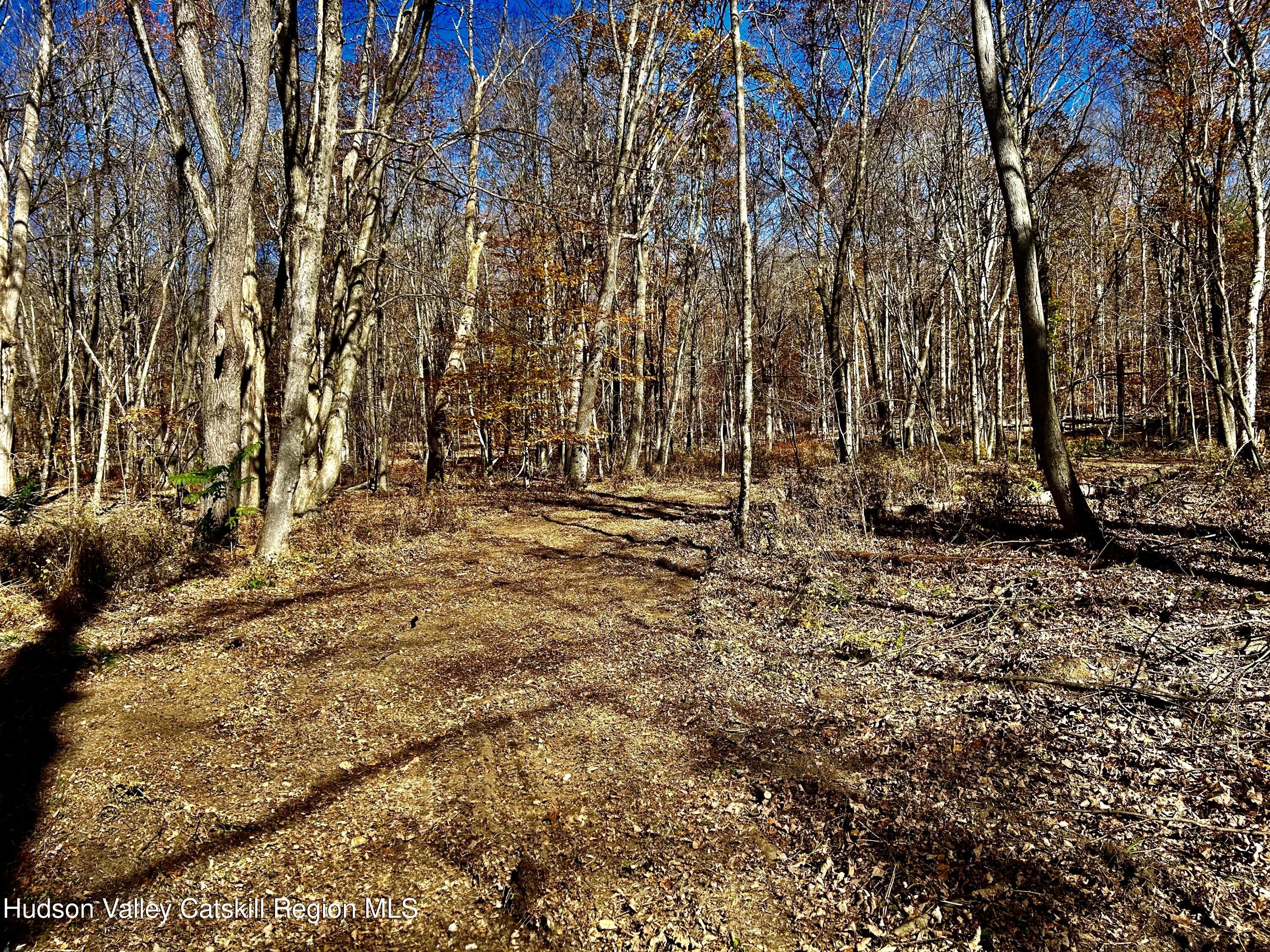 0 Westfall Road Ancram, NY 12502 - Photo 11 of 17 IMG_9174