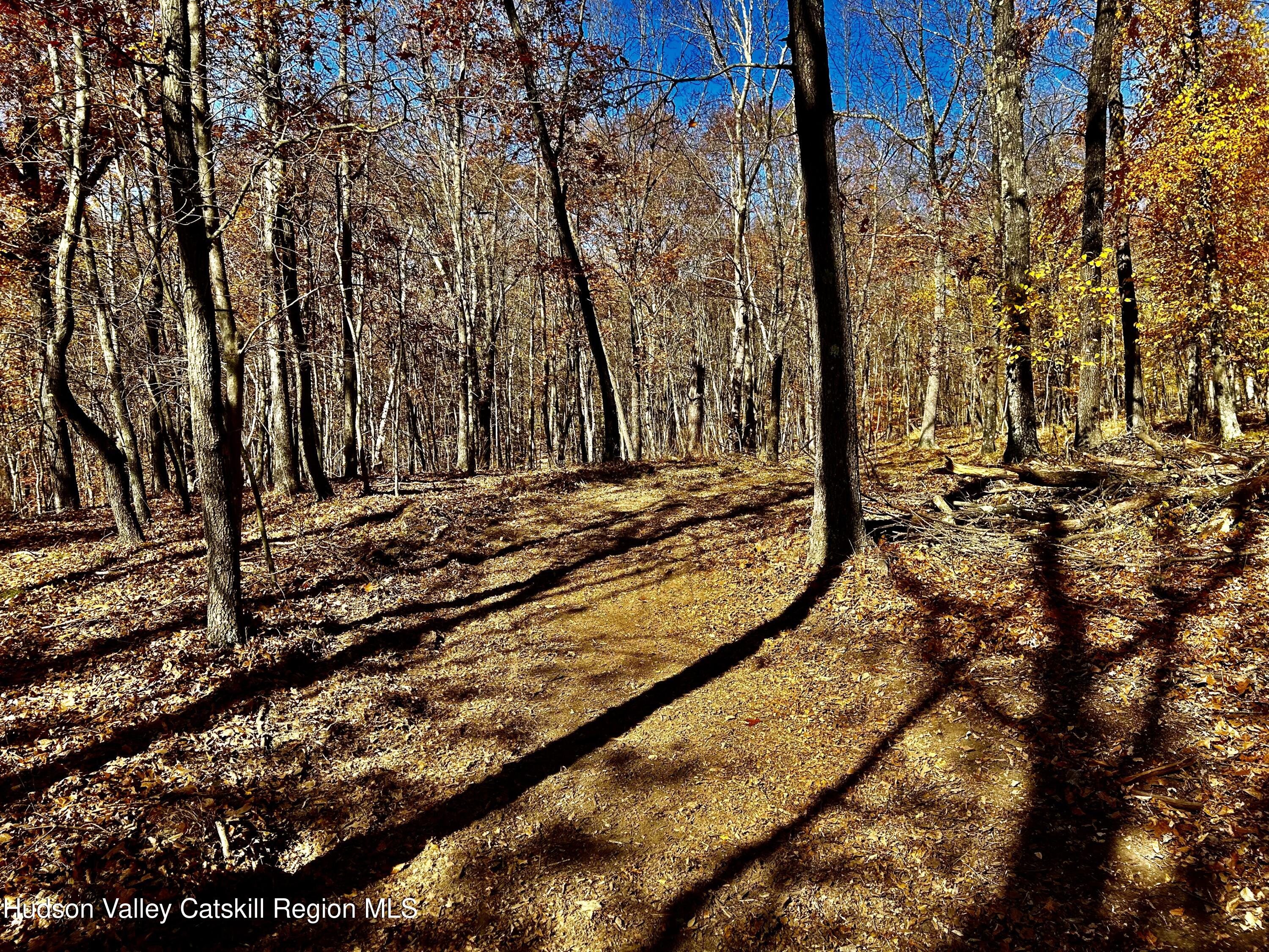 0 Westfall Road Ancram, NY 12502 - Photo 12 of 17 IMG_9186