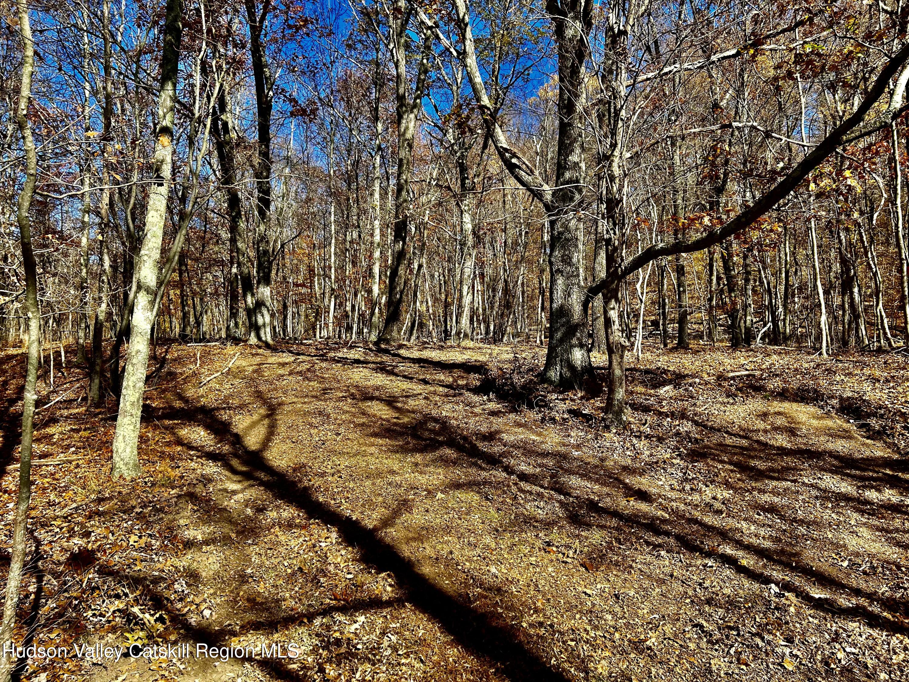 0 Westfall Road Ancram, NY 12502 - Photo 13 of 17 IMG_9183