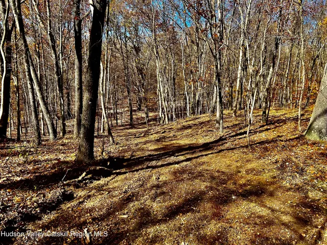 a view of a backyard of the house