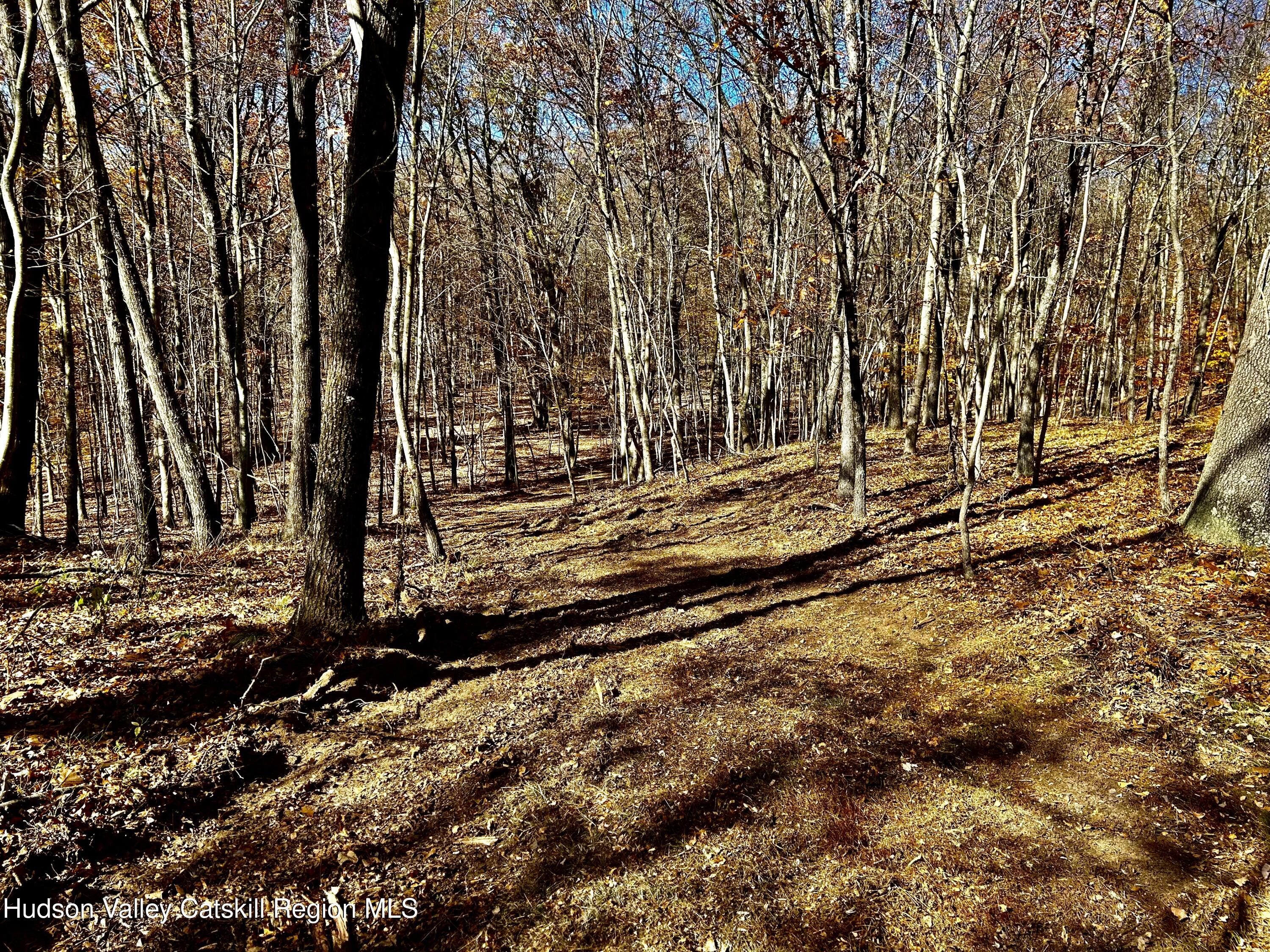 0 Westfall Road Ancram, NY 12502 - Photo 14 of 17 IMG_9187