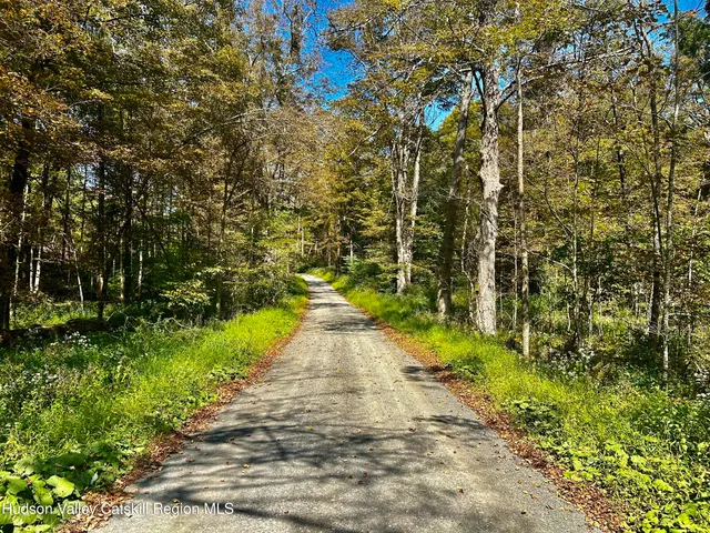 a view of a pathway both side of yard