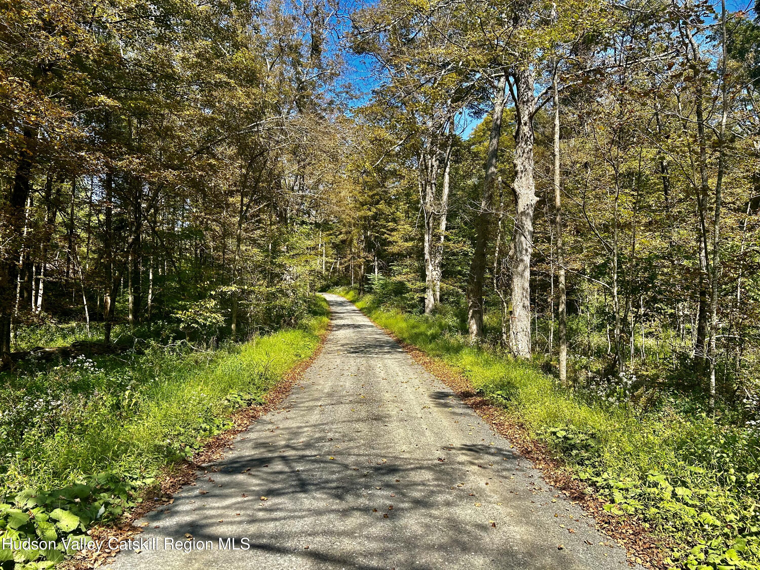 0 Westfall Road Ancram, NY 12502 - Photo 3 of 17 IMG_8732