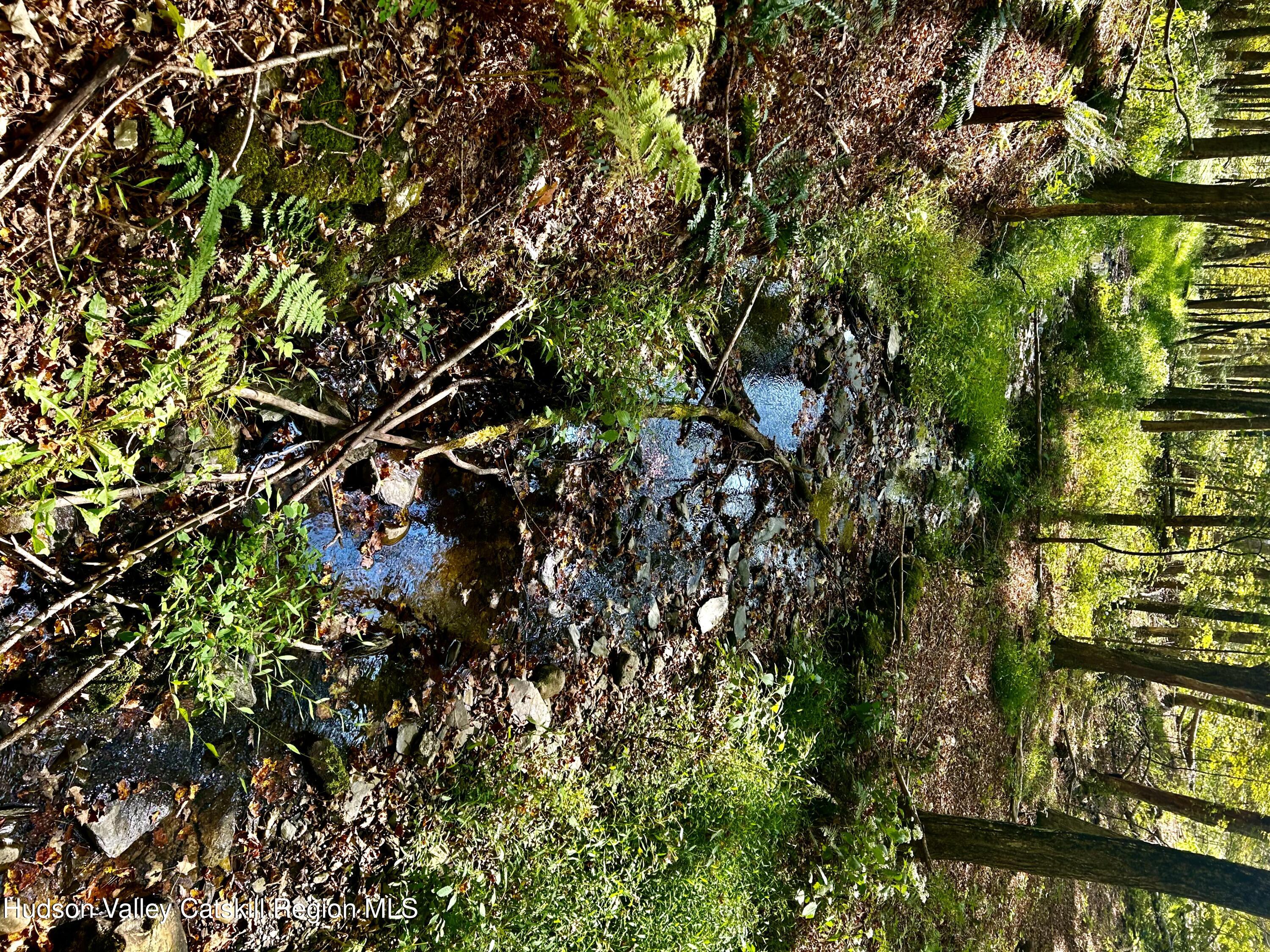 0 Westfall Road Ancram, NY 12502 - Photo 5 of 17 IMG_8754