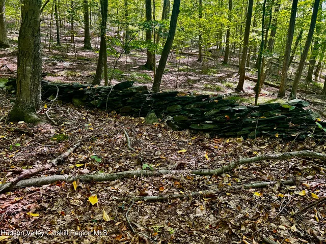 a view of a large yard