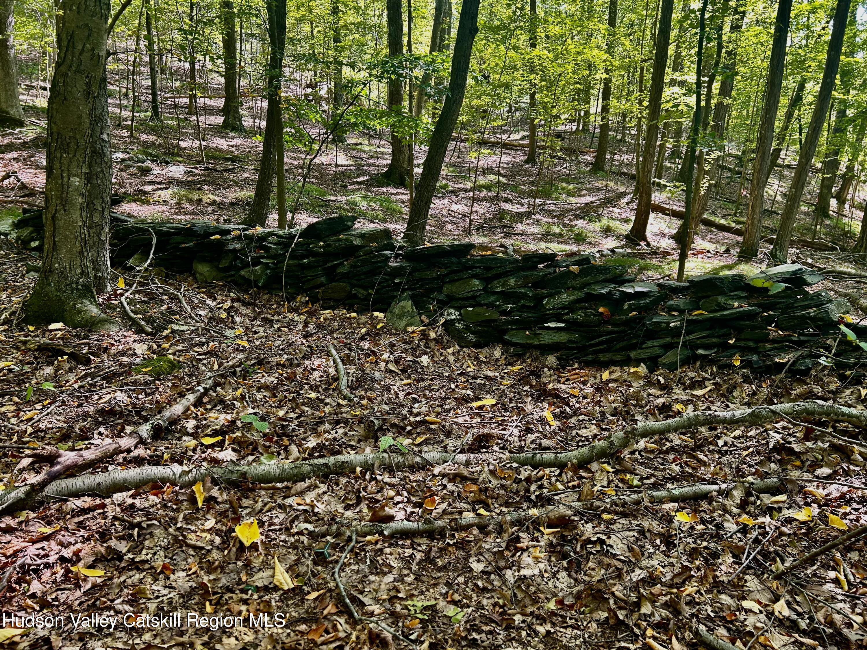 0 Westfall Road Ancram, NY 12502 - Photo 7 of 17 IMG_8750