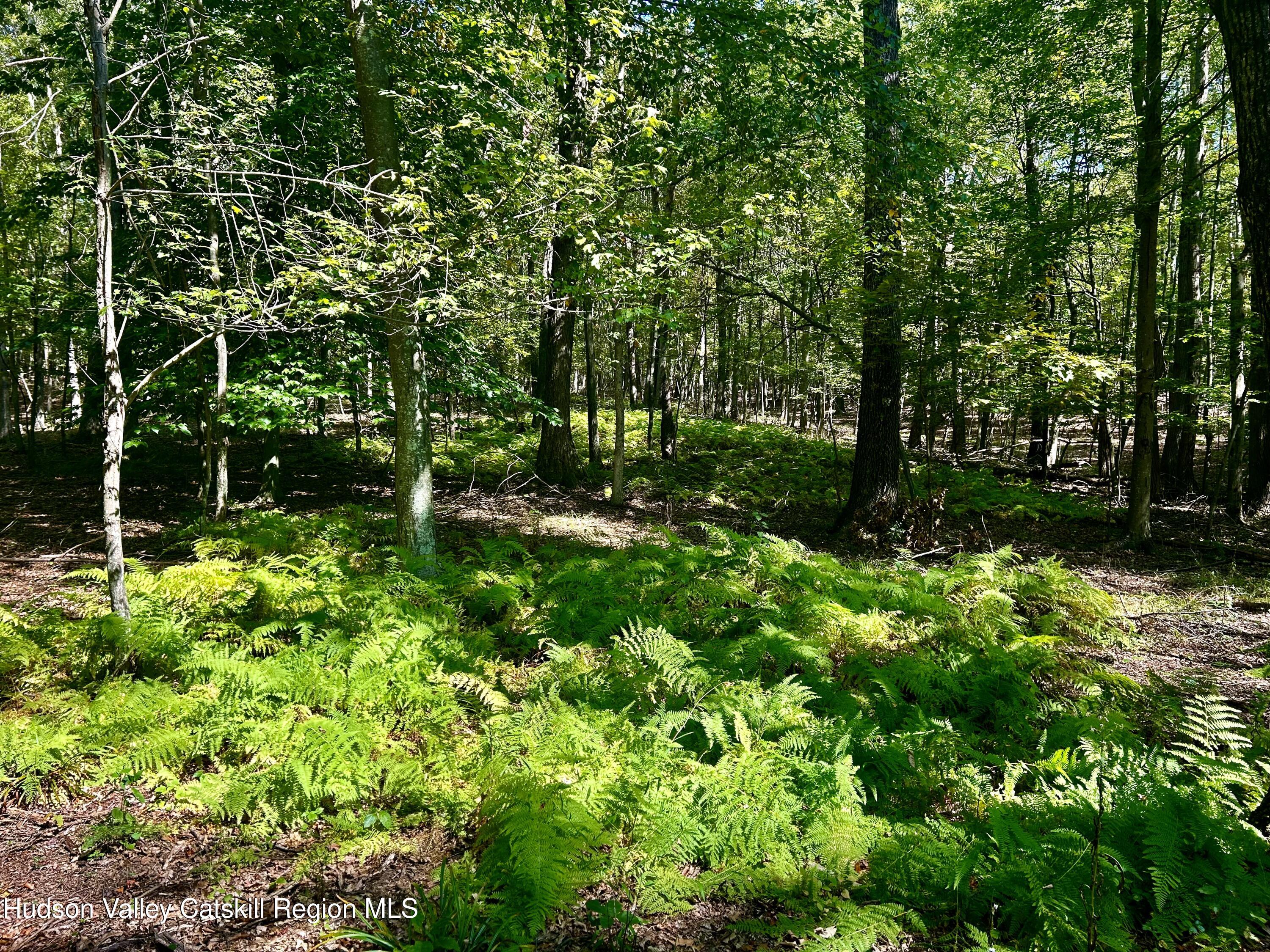 0 Westfall Road Ancram, NY 12502 - Photo 8 of 17 IMG_8738