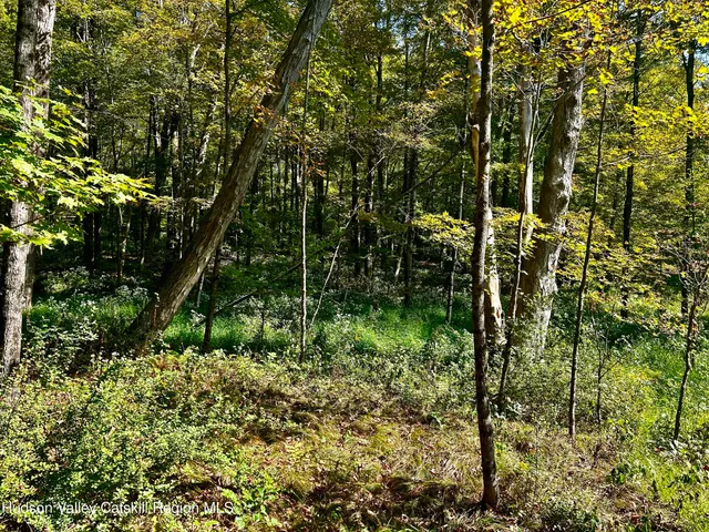 a view of a house with a tree