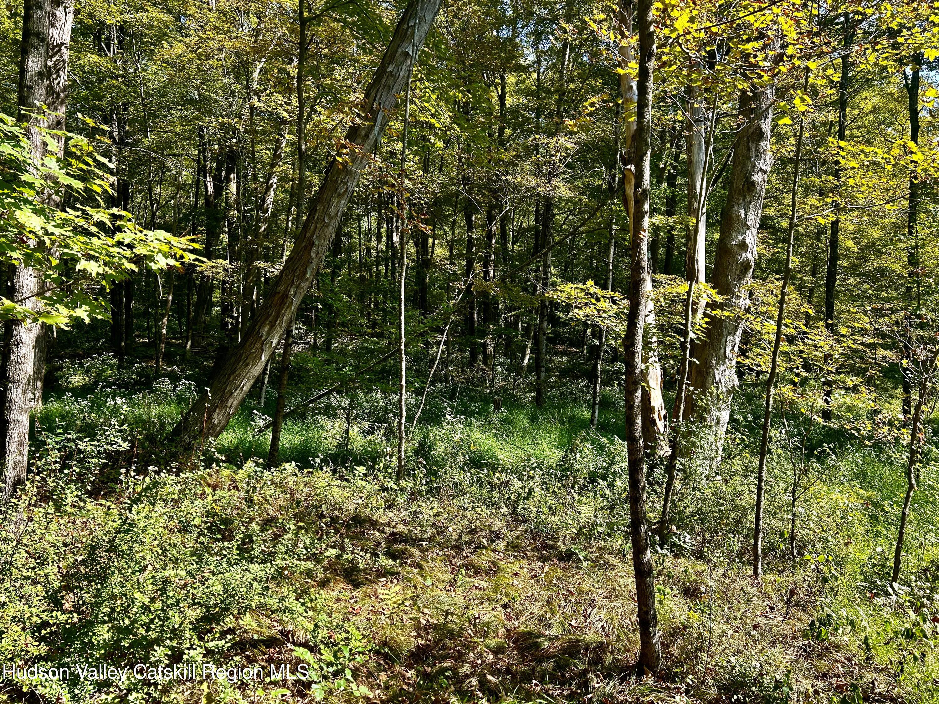 0 Westfall Road Ancram, NY 12502 - Photo 9 of 17 IMG_8734