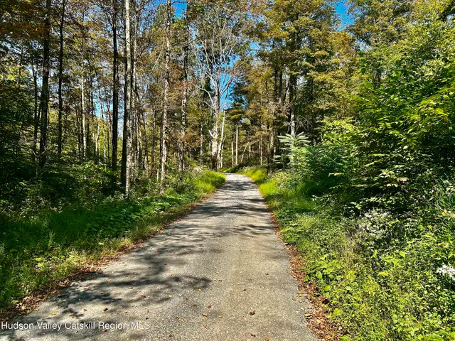a view of a pathway of a park