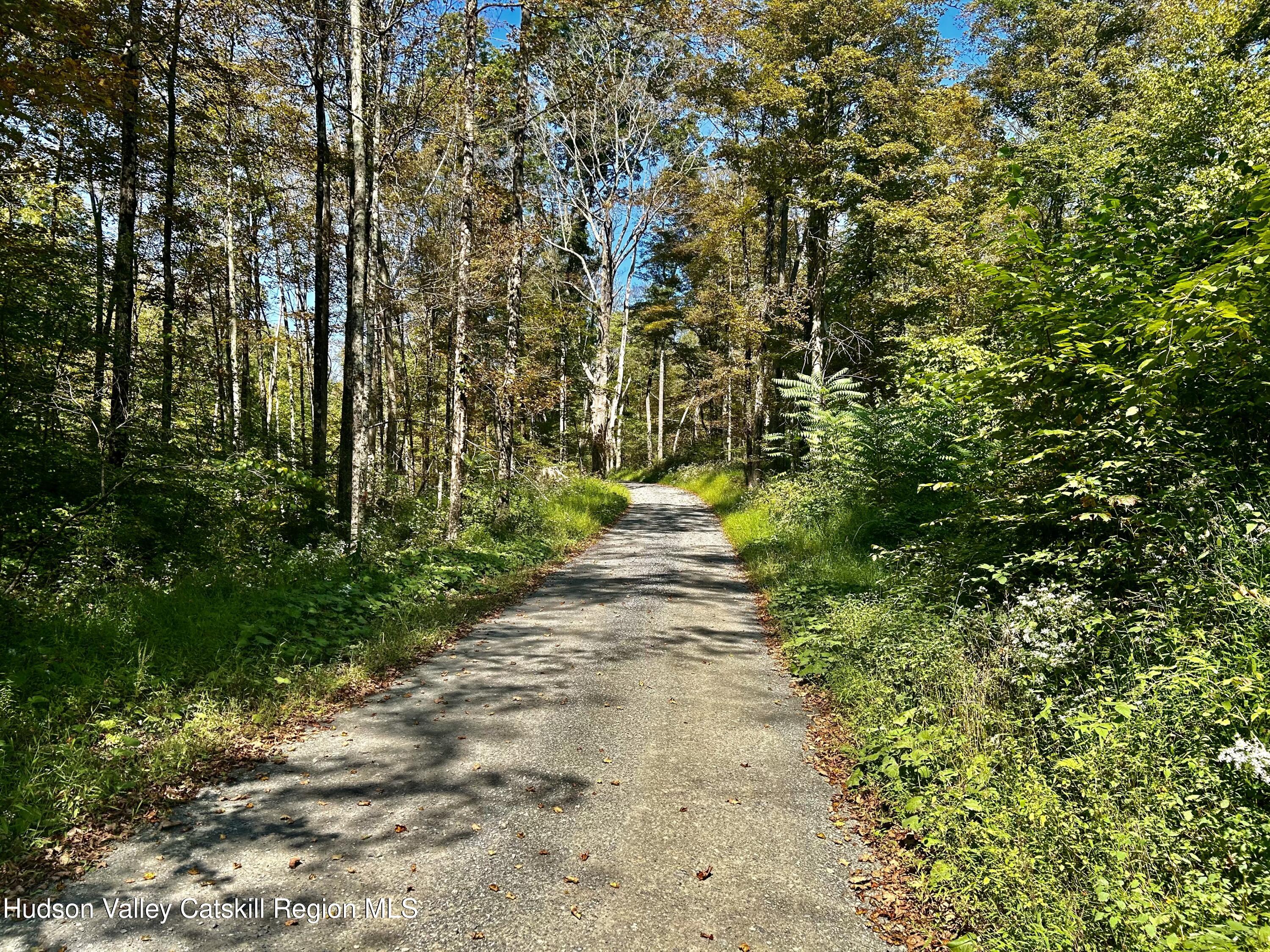 0 Westfall Road Ancram, NY 12502 - Photo 10 of 17 IMG_8733