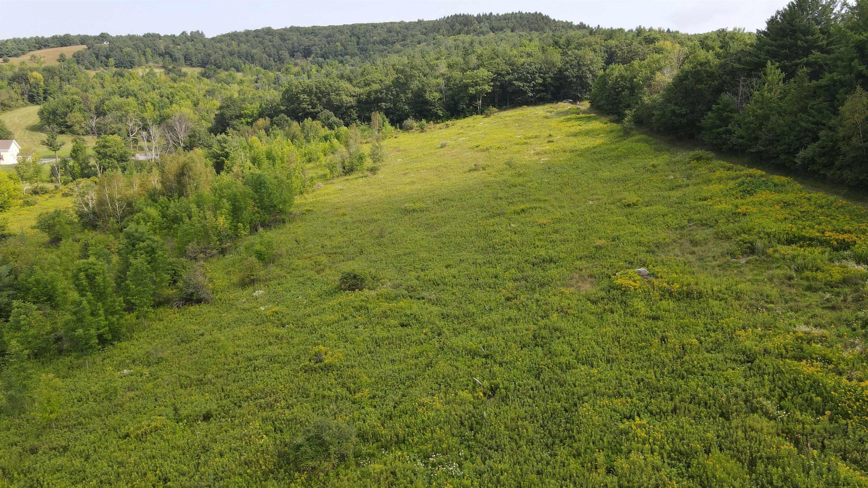 385 Durfee Road Middleburgh, NY 12122 - Photo 12 of 37 Photo 12