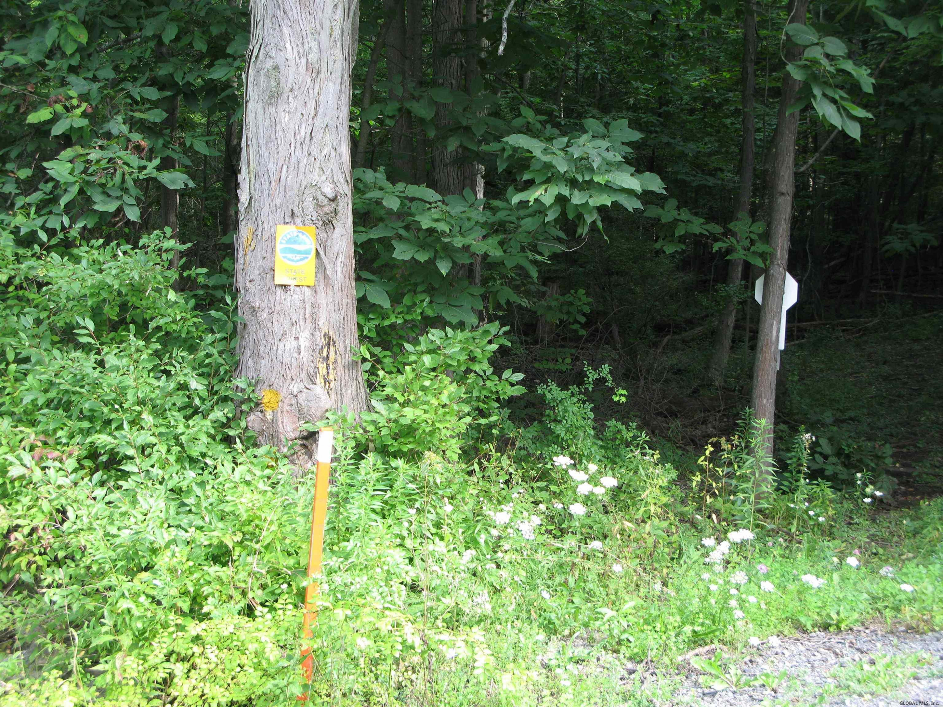 385 Durfee Road Middleburgh, NY 12122 - Photo 34 of 37 Photo 34