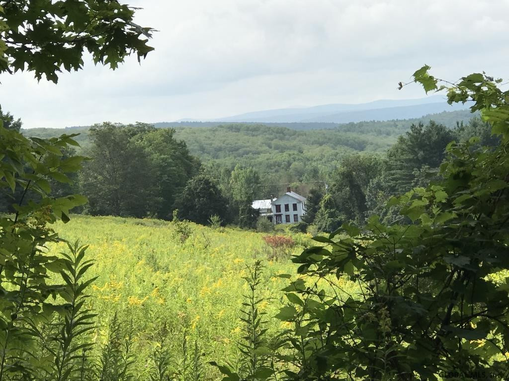 385 Durfee Road Middleburgh, NY 12122 - Photo 36 of 37 Photo 36