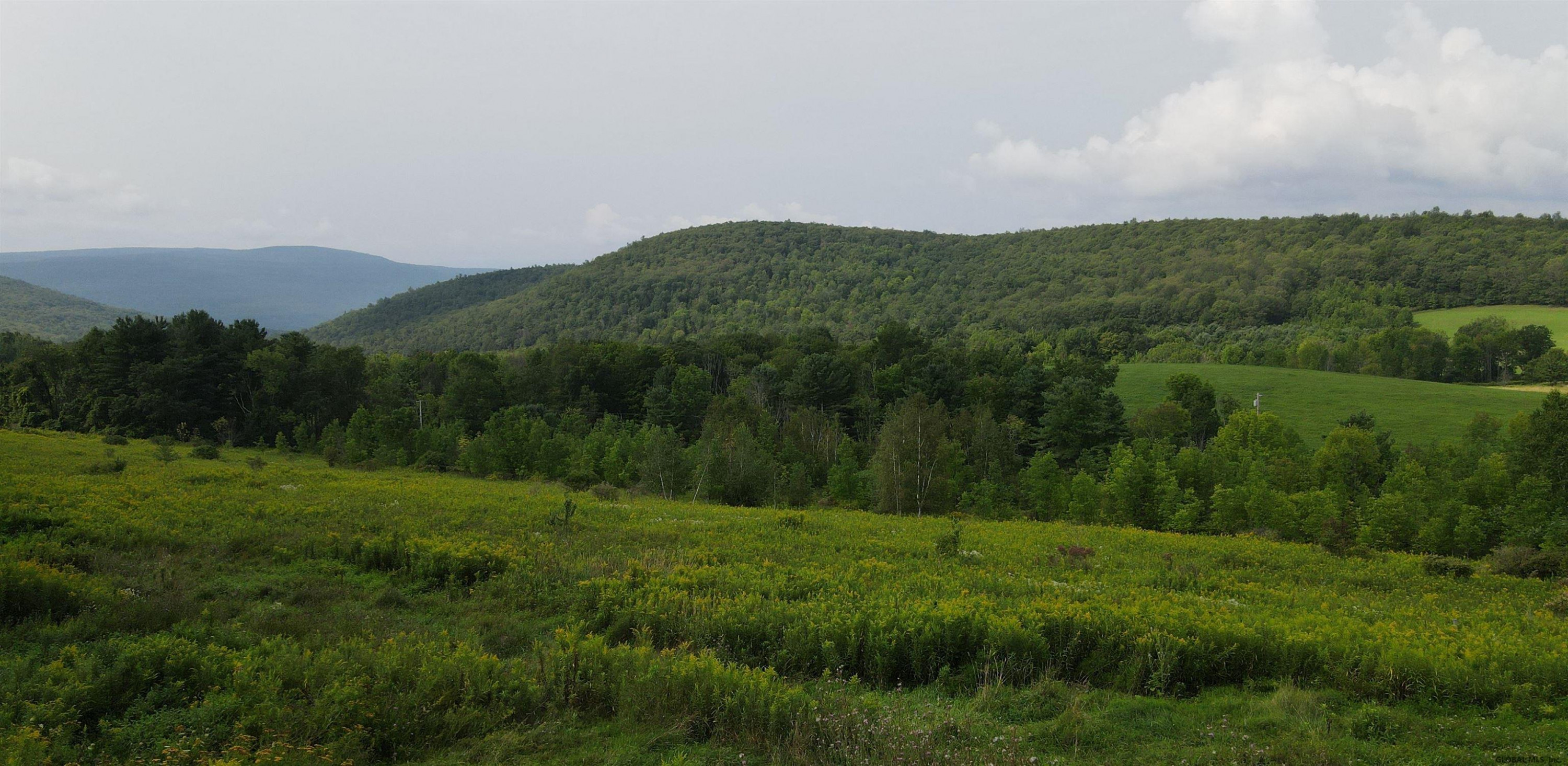 385 Durfee Road Middleburgh, NY 12122 - Photo 6 of 37 Photo 6