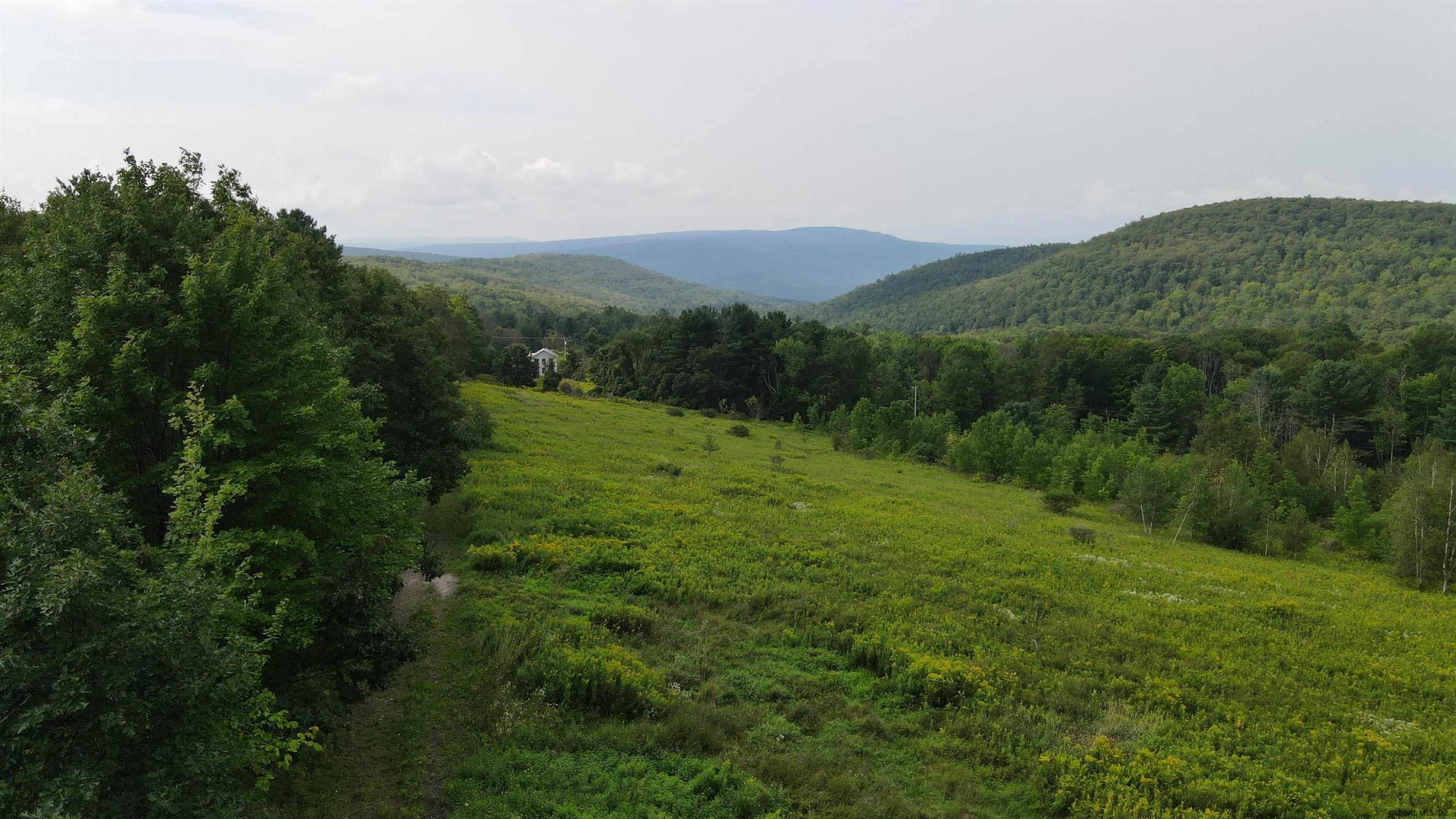 385 Durfee Road Middleburgh, NY 12122 - Photo 10 of 37 Photo 10