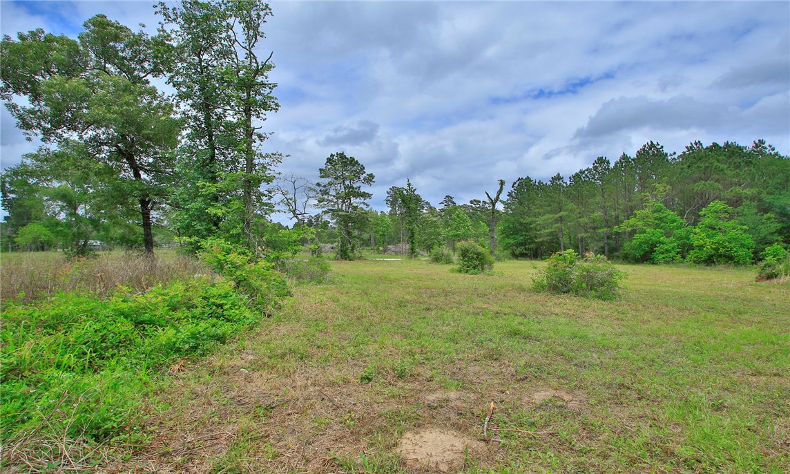 5914 Carter Road Waller, TX 77484 - Photo 19 of 41
