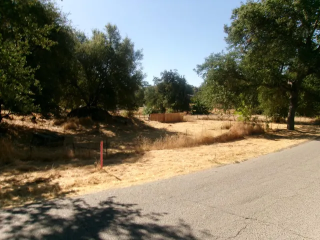 a view of a yard with trees