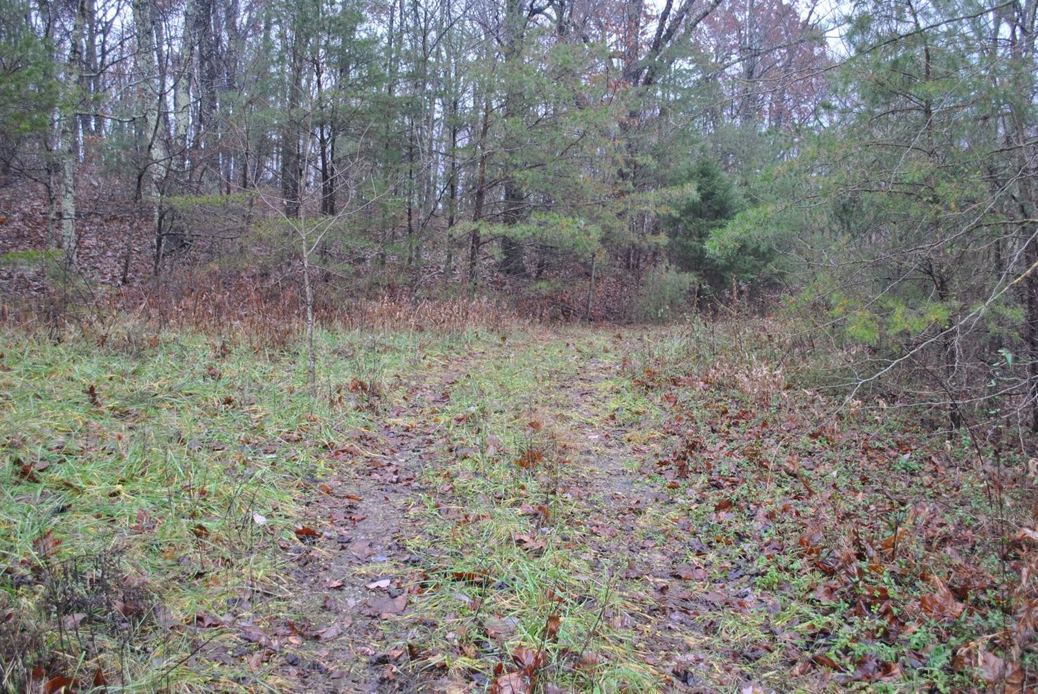 567 Chestnut Flat School Road McKee, KY 40447 - Photo 40 of 68 Photo 40