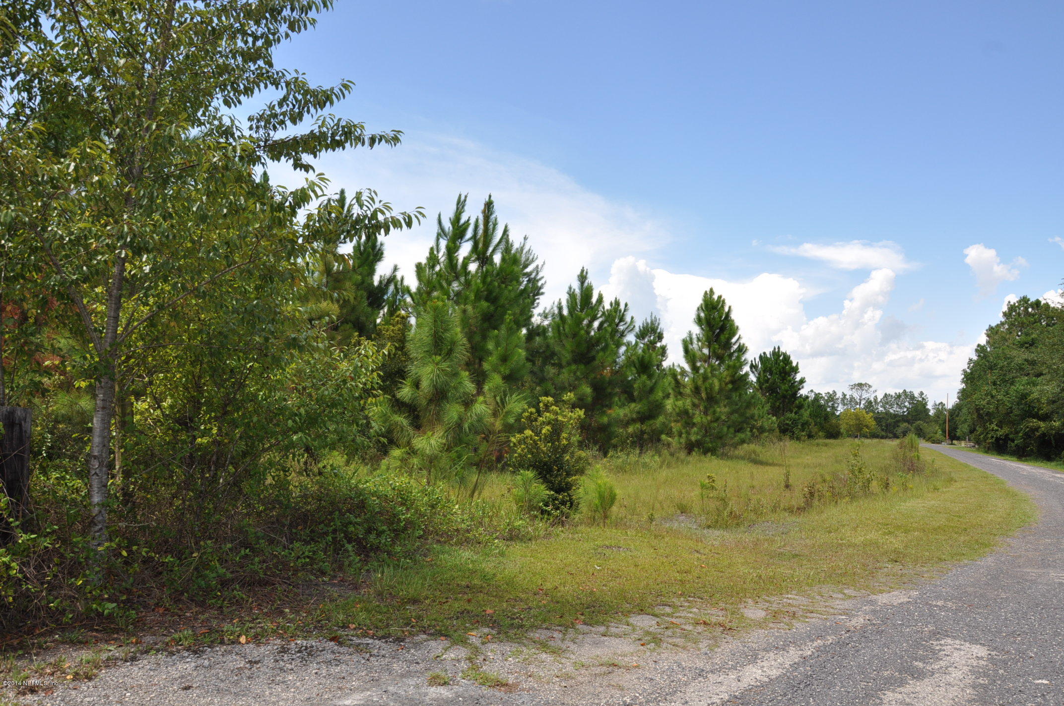 13361 Joandale Road Jacksonville, FL 32220 - Photo 1 of 22 a view of a yard with a tree