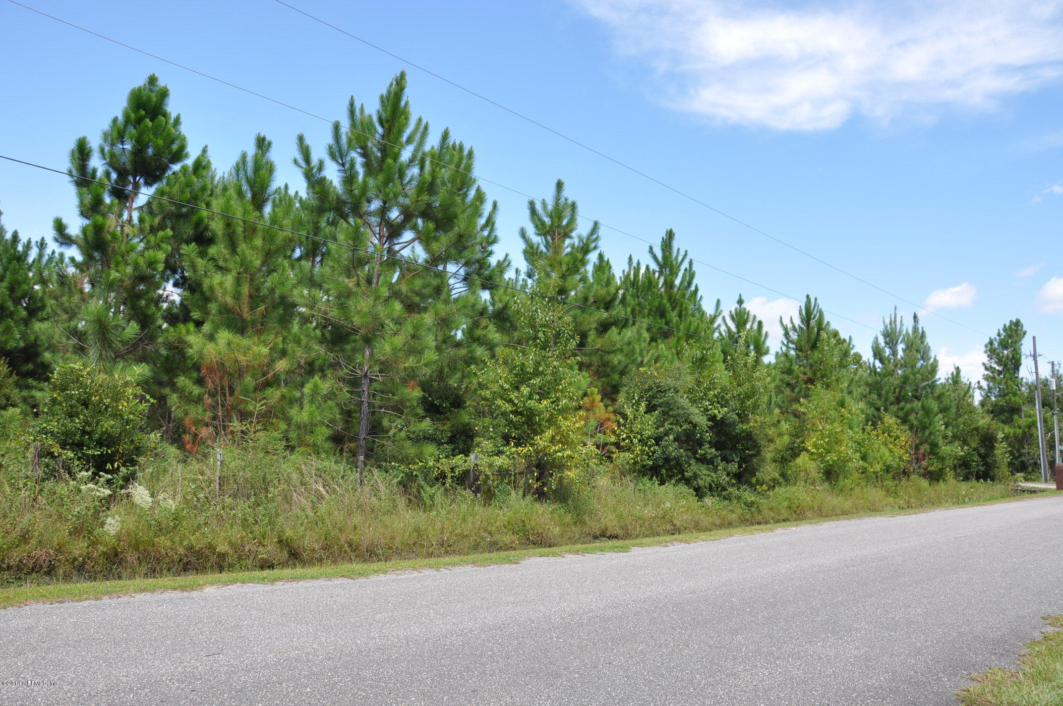 13361 Joandale Road Jacksonville, FL 32220 - Photo 3 of 22 a view of a yard