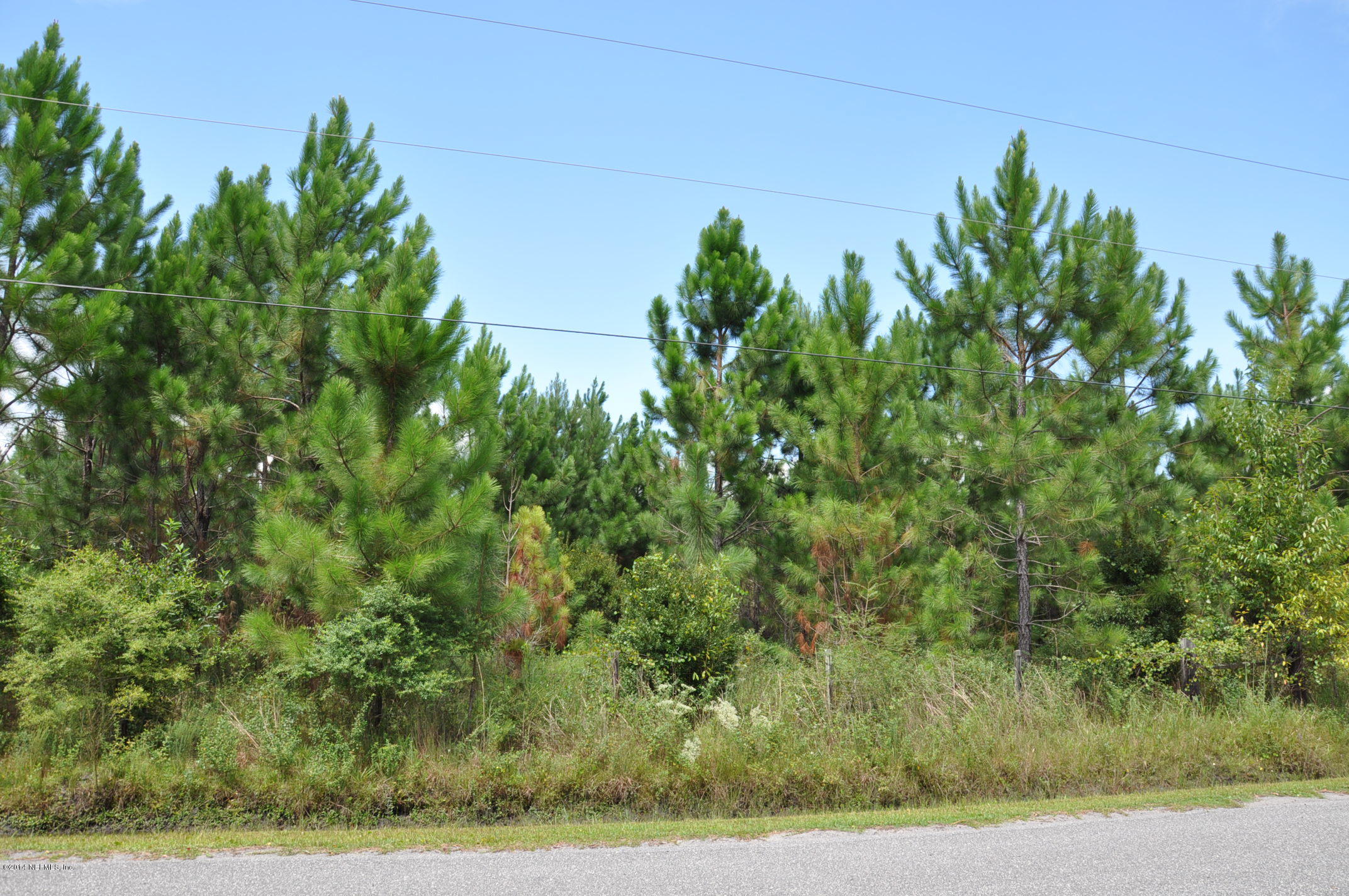 13361 Joandale Road Jacksonville, FL 32220 - Photo 4 of 22