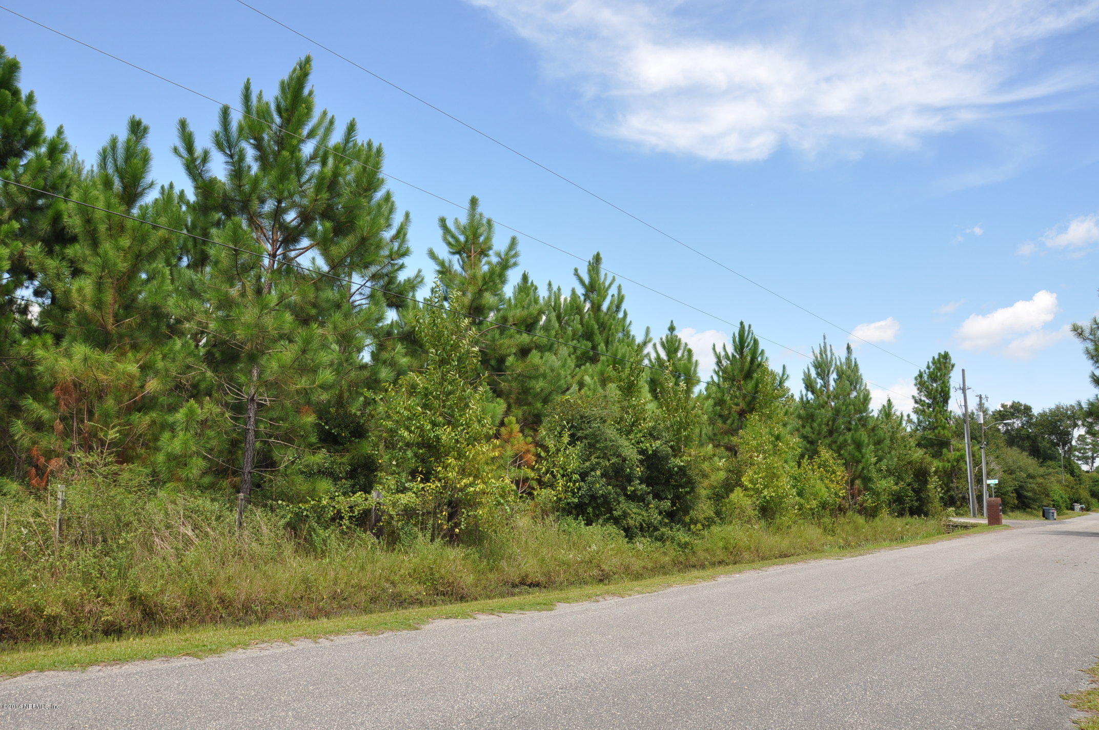 13361 Joandale Road Jacksonville, FL 32220 - Photo 5 of 22 a view of a yard