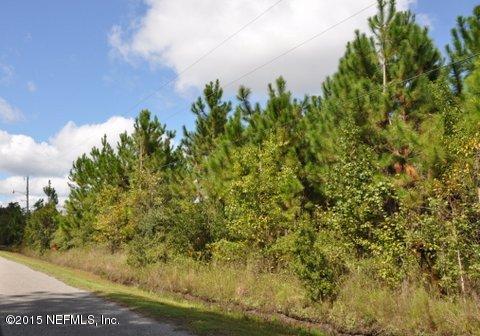 13361 Joandale Road Jacksonville, FL 32220 - Photo 8 of 22 a view of a big yard with plants and large trees