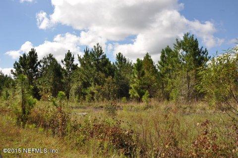 13361 Joandale Road Jacksonville, FL 32220 - Photo 9 of 22 a view of a bunch of trees and bushes