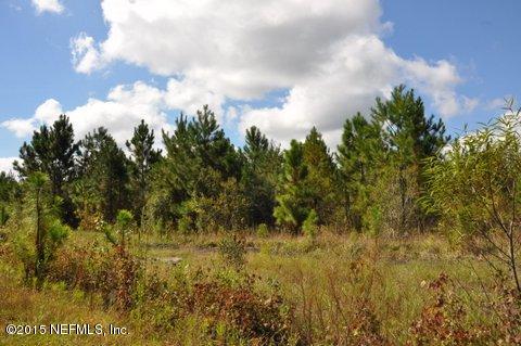 13361 Joandale Road Jacksonville, FL 32220 - Photo 10 of 22 a view of a bunch of trees and bushes