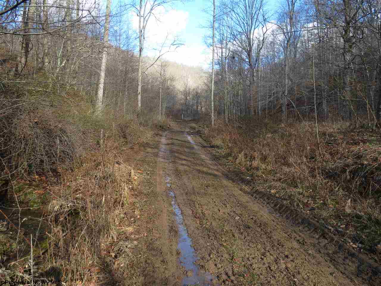 8000 Clay Road Looneyville, WV 25259 - Photo 7 of 7 Gallery Image 7