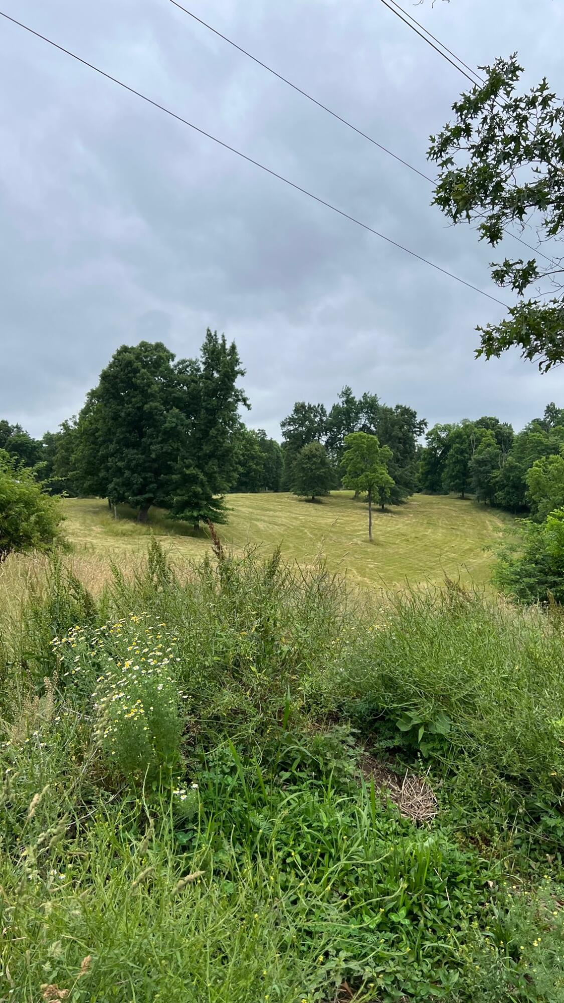 10885 B Napoleon-Zion Station Road Dry Ridge, KY 41035 - Photo 40 of 43