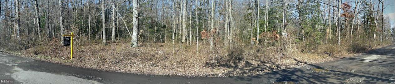 Brookland Road Glenn Dale, MD 20769 - Photo 3 of 6 a close view of backyard