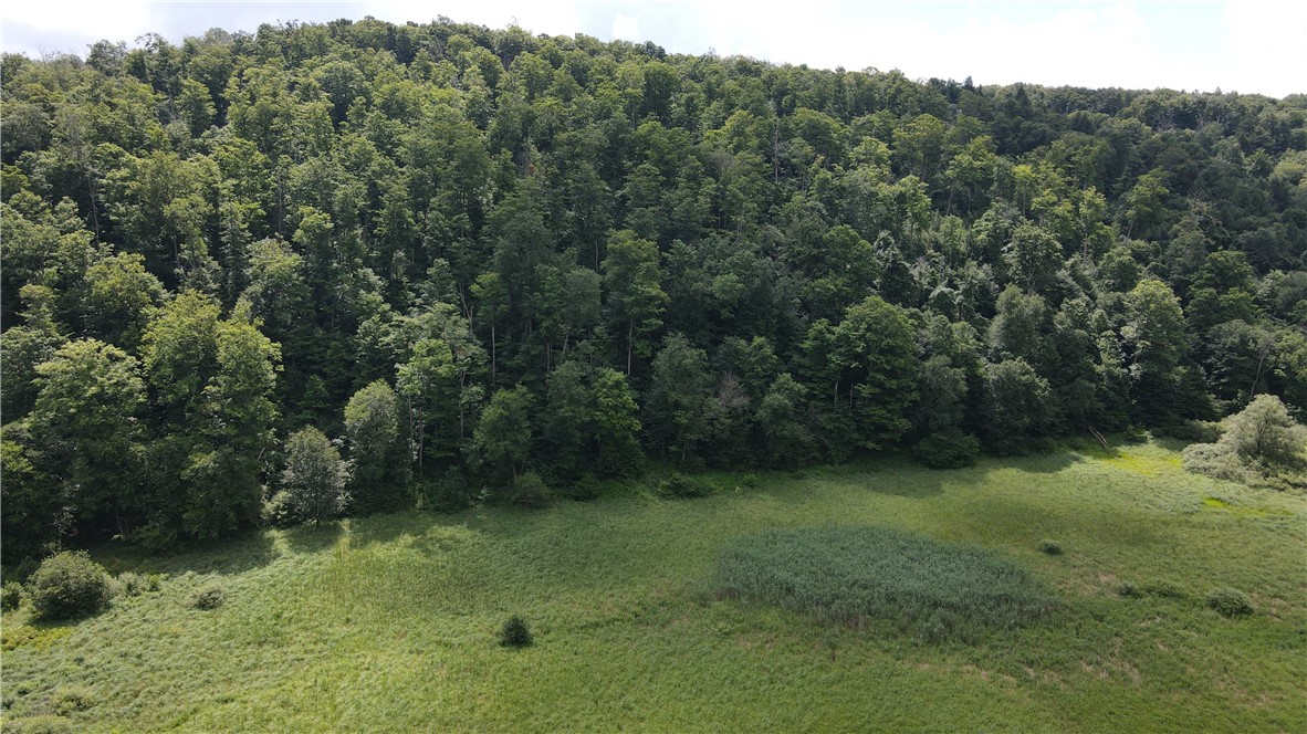 0 Alderbottom Road Conewango Valley, NY 14726 - Photo 1 of 1 Gallery Image 1