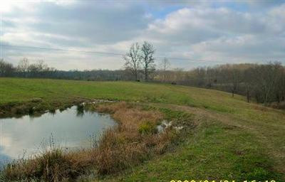 1 Forge Hill Road Owingsville, KY 40360 - Photo 4 of 10 Photo 4