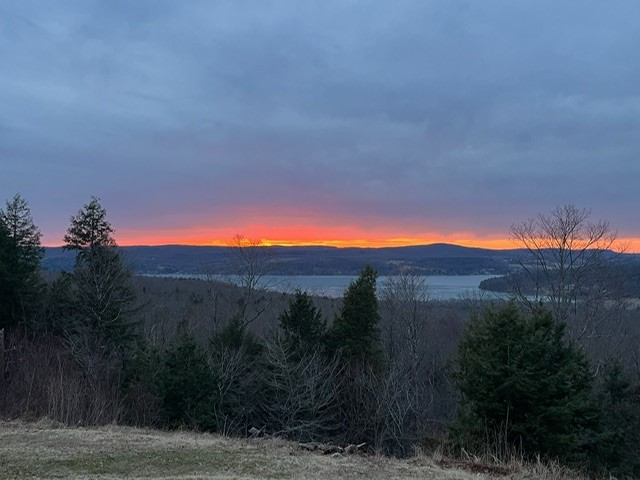 386 Springfield Hill Road Middlefield, NY 13326 - Photo 39 of 44 Gallery Image 39