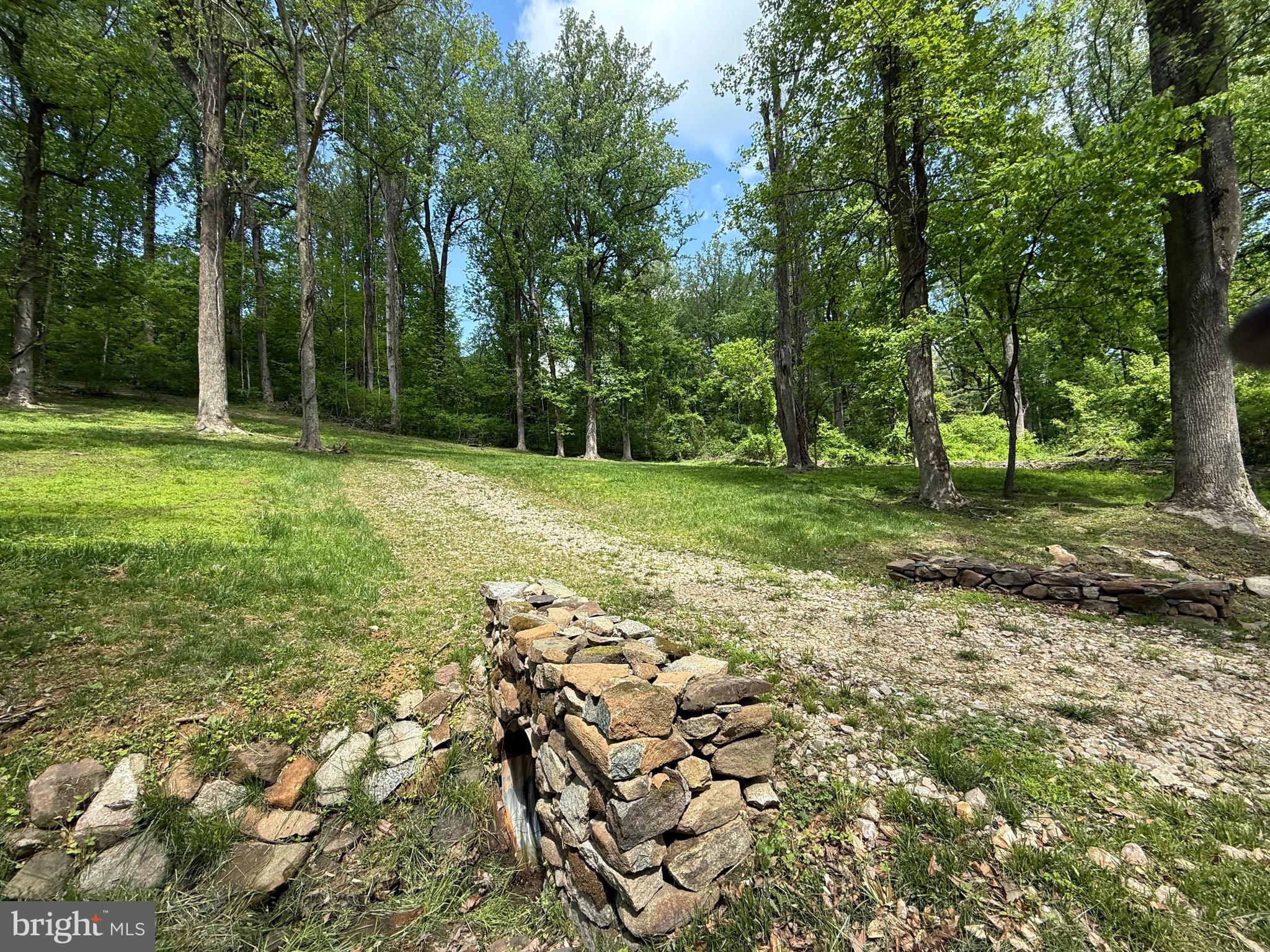 Riley Hollow Road Huntly, VA 22640 - Photo 2 of 10 a view of a field with trees in front of it