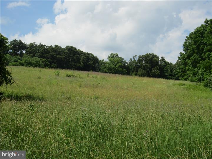 5661 Highway 412 Riegelsville, PA 18077 - Photo 3 of 5 Gallery Image 3