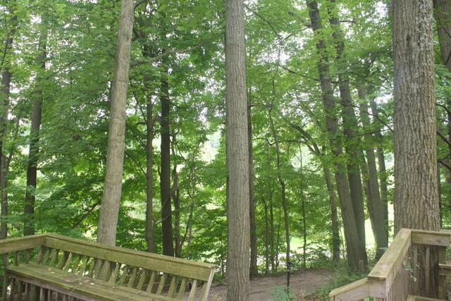 3455 Possum Run Road Mansfield, OH 44903 - Photo 3 of 38 3