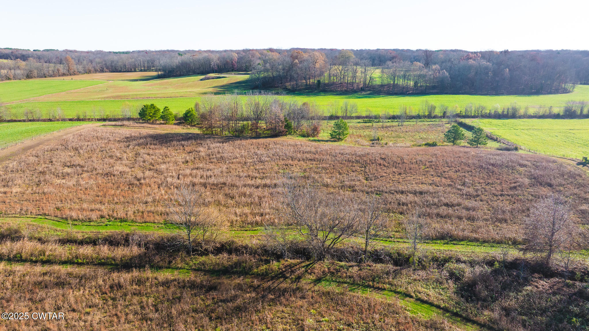 350 Klutts Road Dresden, TN 38225 - Photo 39 of 39 a view of a lake with a field and trees